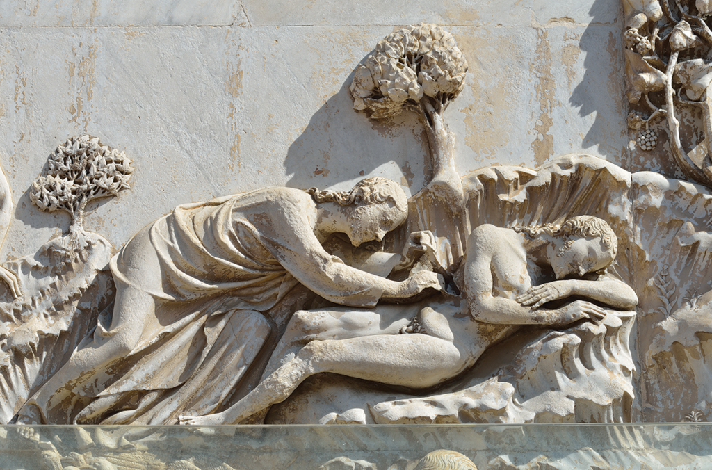 Scientific Evidence For The Missing Rib Bone? EvidenceForTheBible