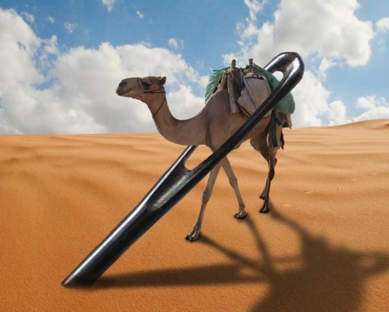Exegetical Evidence For A Camel Going Through The Eye Of A Needle (Matthew 19:24; Mark 10:25; Luke 18:25)
