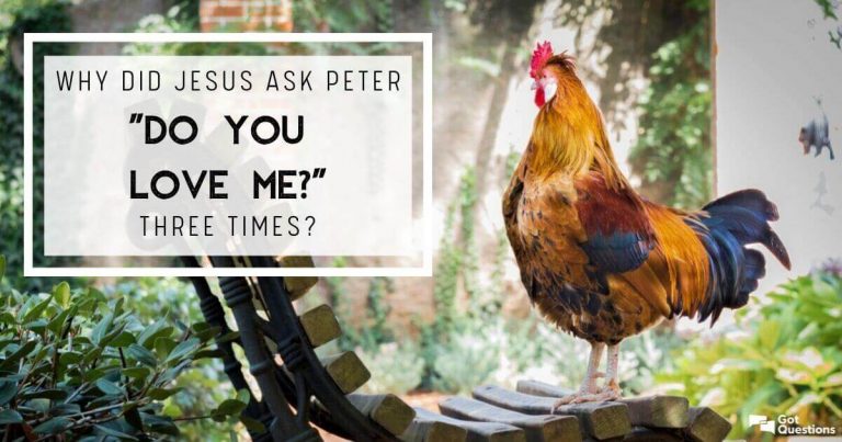 Exegetical Evidence For Why Jesus Asked Peter “Do You Love Me? 3 Times
